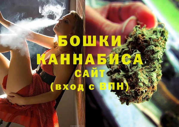 гидра Инсар