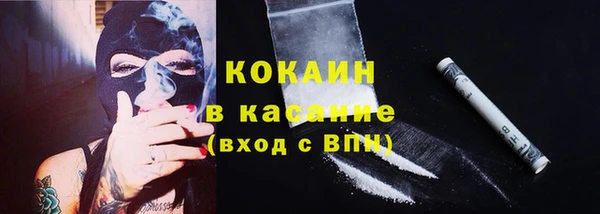 гидра Инсар