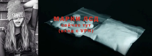 гидра Инсар
