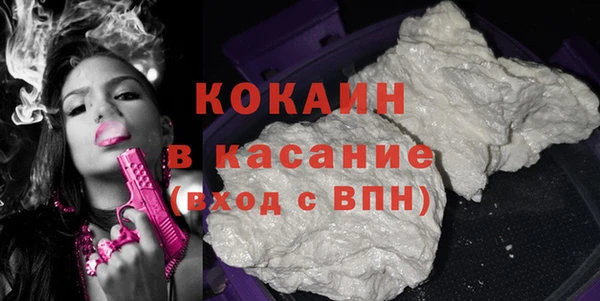 гидра Инсар