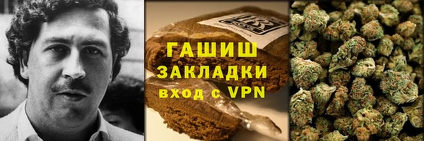 гидра Инсар