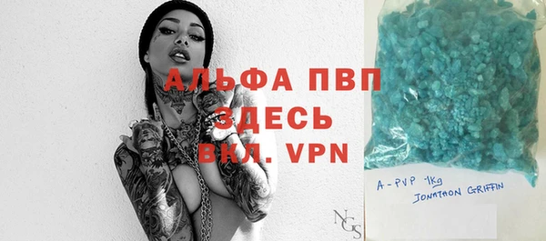 гидра Инсар