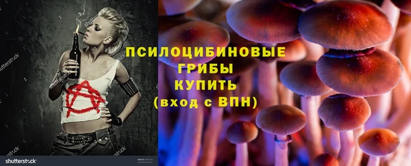 прущие грибы Болхов